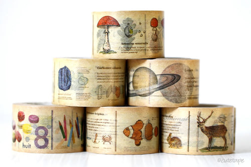 Encyclopedia Washi Tape MT Masking Tape