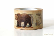 animal encyclopedia mt washi tape roll