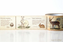Animals Encyclopedia Washi Tape MT
