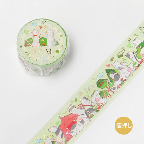 Cats Animal Party Camp BGM washi tape Foil Accent on Mint Background