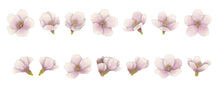 Somei Yoshino Cherry Blossom Bande Washi Roll Sticker Tape Sakura Japanese