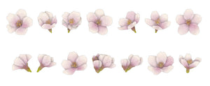 Somei Yoshino Cherry Blossom Bande Washi Roll Sticker Tape Sakura Japanese