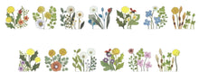 Dandelion Bande Washi Tape Sticker Rolls Floral - Japanese