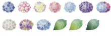 Bande Hydrangea Floral Washi Tape Sticker Rolls Flowers - Japanese