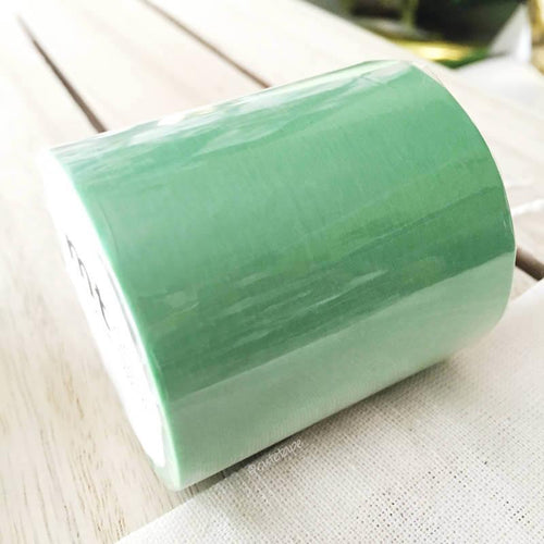 Solid Mint Wakamidori MT CASA Washi Tape 50mmx10m