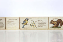 showing detail of animal mt encyclopedia washi tape