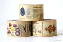 showing 3 rolls of mt encyclopedia washi tape with minerla, numbers (discontinued), and marine animals