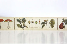showing closer details of plant mt encyclopedia