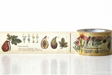 Plant Encyclopedia Washi Tape MT Japanese