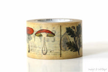 roll of plants mt encyclopedia washi tape