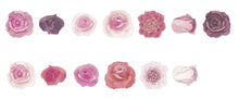 Rose Pink Bande Washi Tape Sticker Rolls Japanese